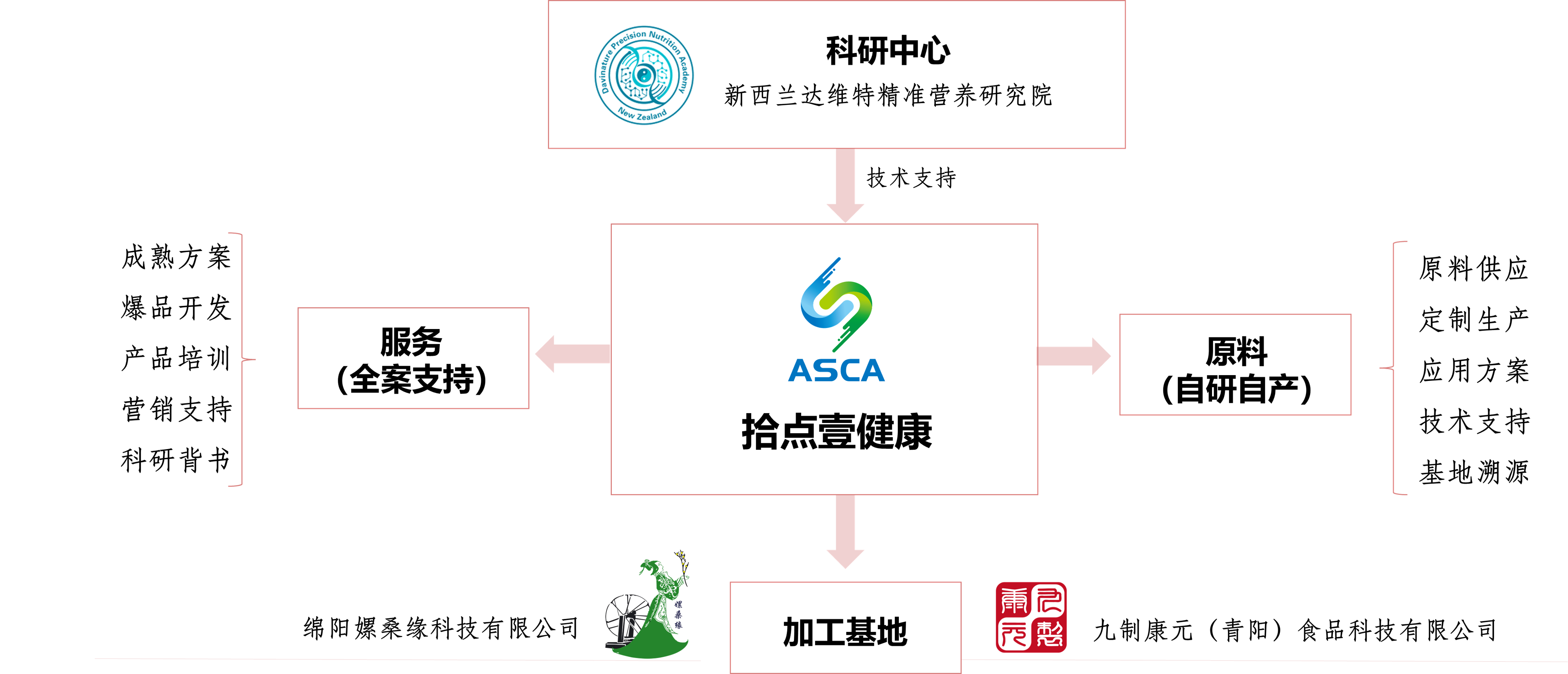 公司結構.png